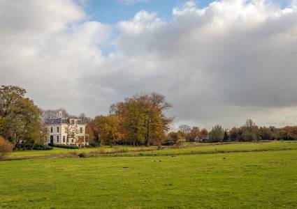 Hoe staat het met het vermogen van Nederlandse familiestichtingen?