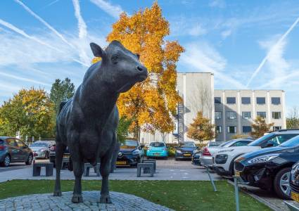 Parkeerkosten werknemer